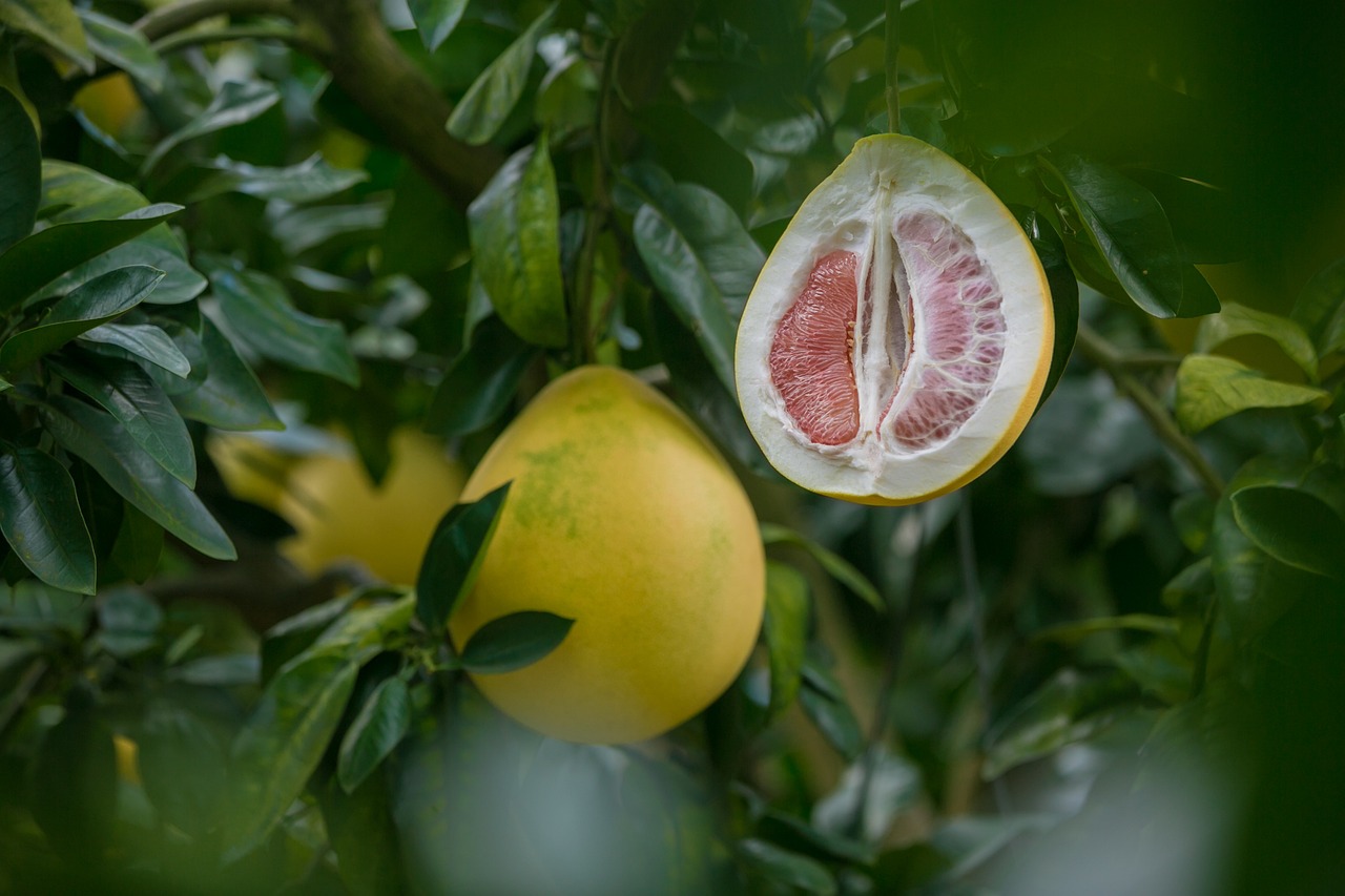 Pomelo Pomelo: propiedades, posibles beneficios y formas de consumirlo