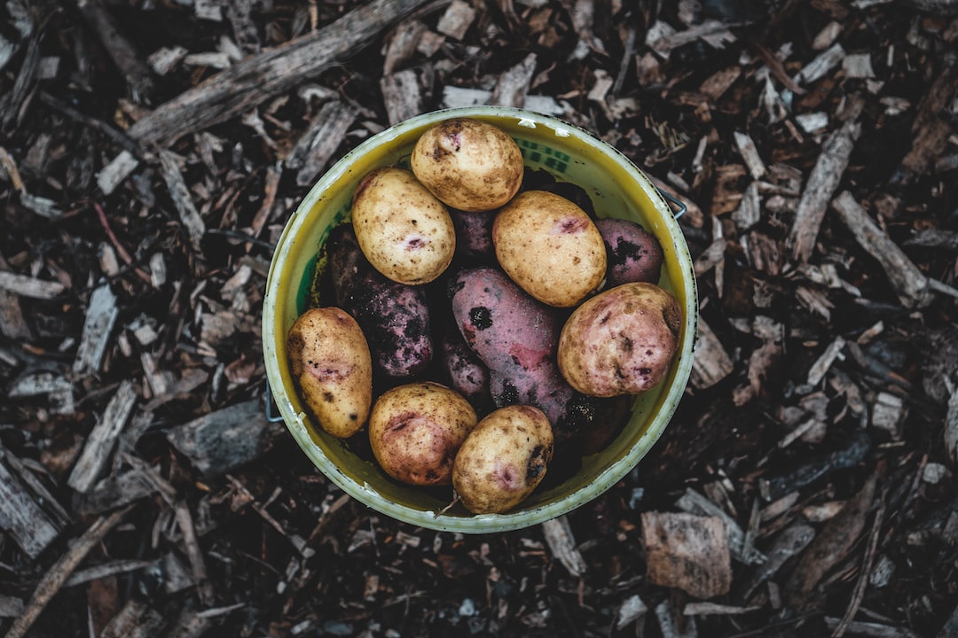 Potato 1 Patatas: cultivo, beneficios, recetas y conservación