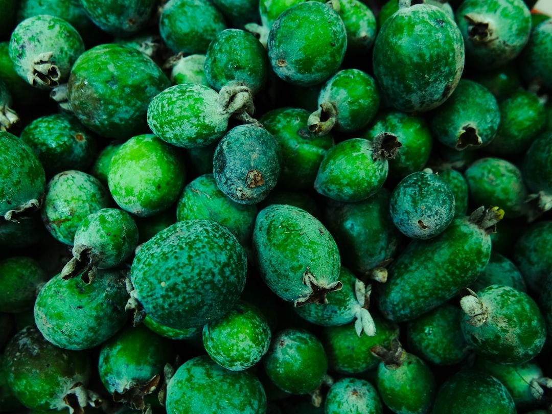 Feijoa Feijoa: propiedades nutricionales, beneficios y formas de disfrutarla