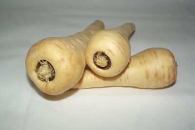 Parsnip Todo lo que debes saber sobre la deliciosa y versátil chirivía