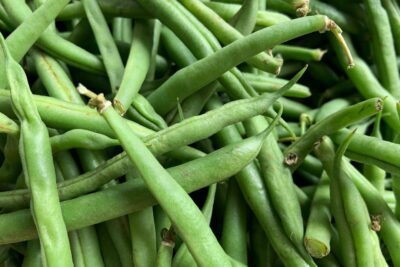 Tuna fruta de cactus Tuna o higo chumbo: propiedades, posibles beneficios y cómo consumirla
