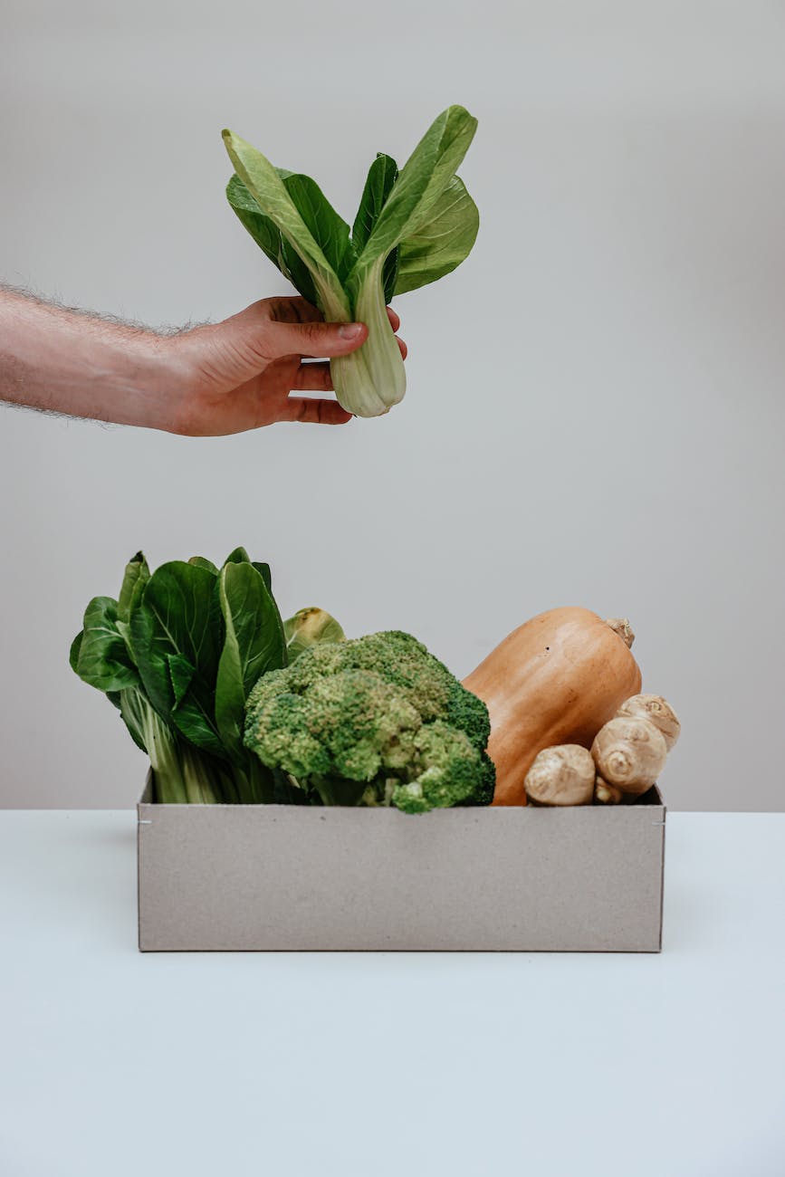 a person holding green bok choy vegetable