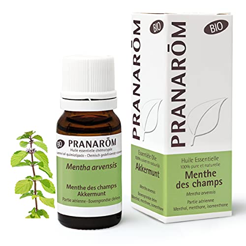 PRANARÔM - Menta de Campo Bio - Aceite Esencial