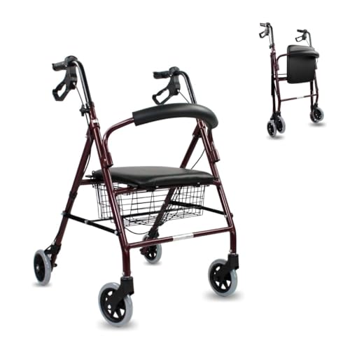 Mobiclinic®, Andador para ancianos, Modelo