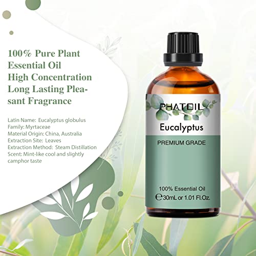 PHATOIL Aceite Esencial Eucalipto 30ml, Aceites