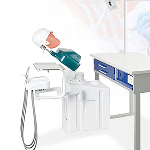 Fantasma Dental: Modelo de Cabeza para Practicar Odontología - iconsalud.es