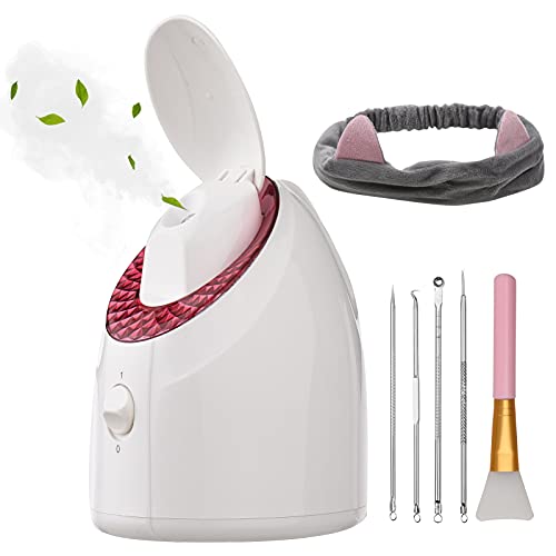 Sauna Facial Vaporizador Facial Nano Ion Cálido